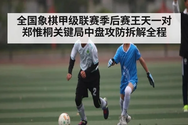 全国象棋甲级联赛季后赛王天一对郑惟桐关键局中盘攻防拆解全程